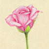 Alexis_B4U's Avatar