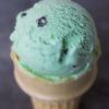 mintchocolatechip