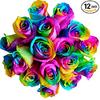 rainbow101's Avatar