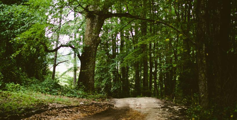 Dissolving Our Karmic Ties
