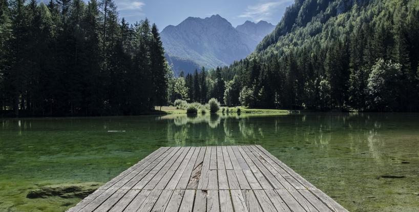 Seeking Serenity