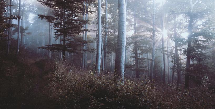 Memories – Part Two