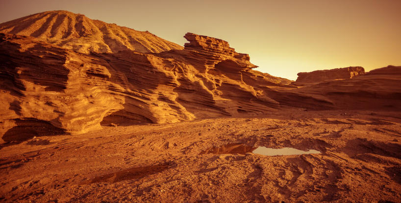 The Martian Chronicler