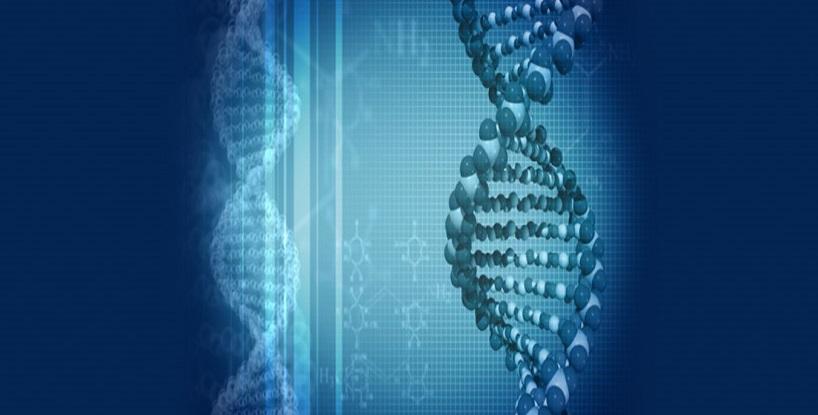 Preimplantation Genetic Diagnosis: Genetic profiling of embryos