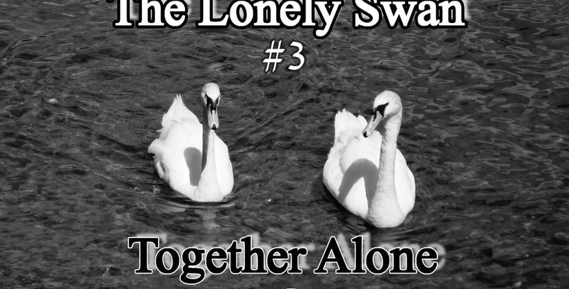 The Lonely Swan (#3) - Together Alone (Chapters 10 - 11)