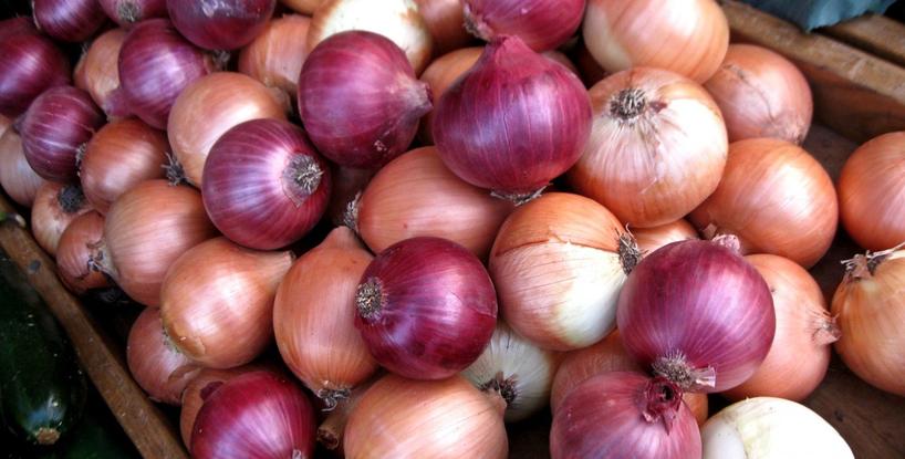 Natural Flu Protection – The Humble Onion