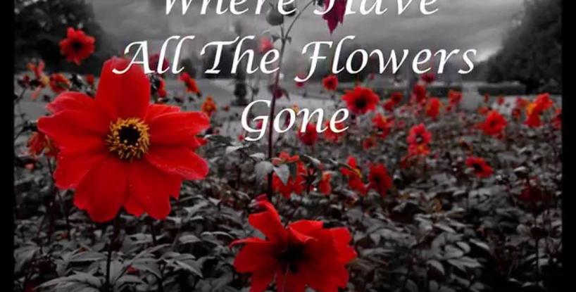 Where Have All The Flowers Gone?