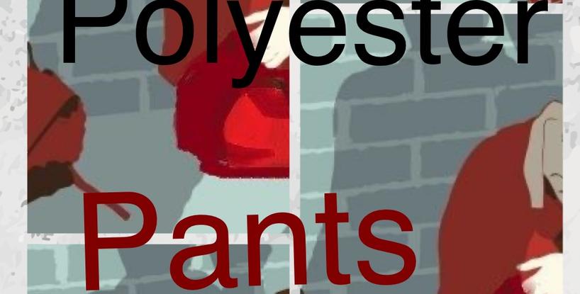 THE GIRL IN THE RED POLYESTER PANTS