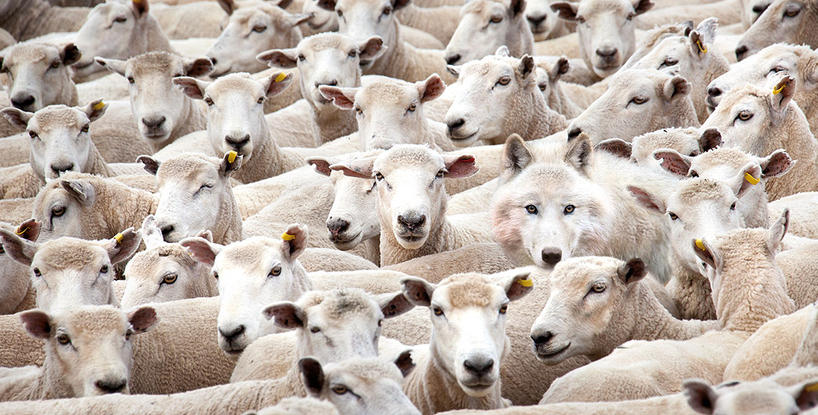 Of False Prophets And Messiahs