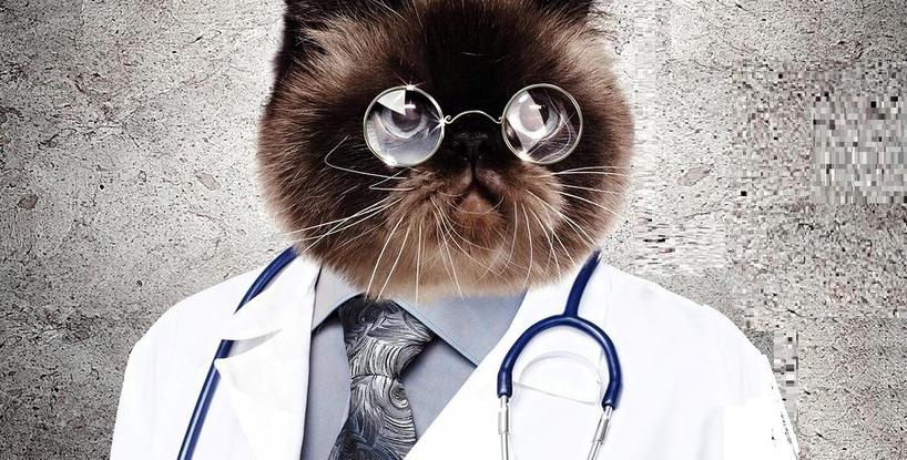 Paging Dr. Cloudy ( A Reat Cat Tale)