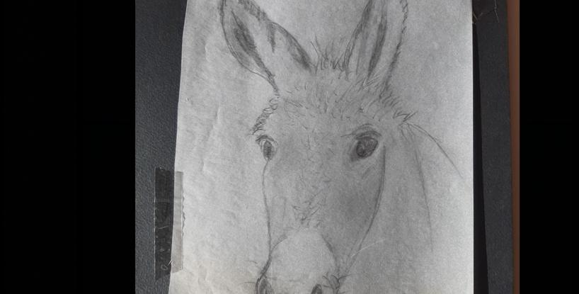 Platero and I: Louisette