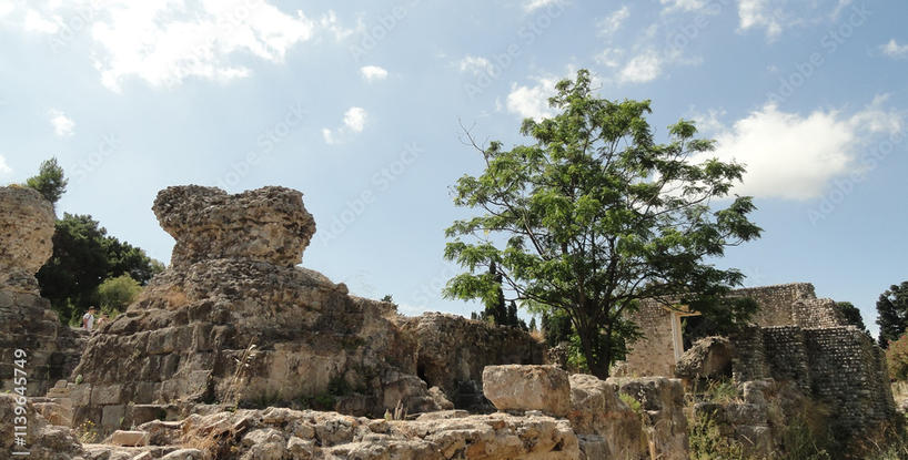 The Fruit That Ripened into Knowledge (Ο Καρπός που Ωρίμασε σε Γνώση)