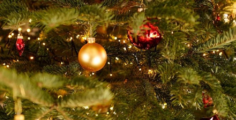 NO PRESENTS UNDER MY TREE