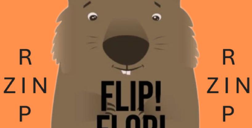 Flip! Flop! Floop!!!