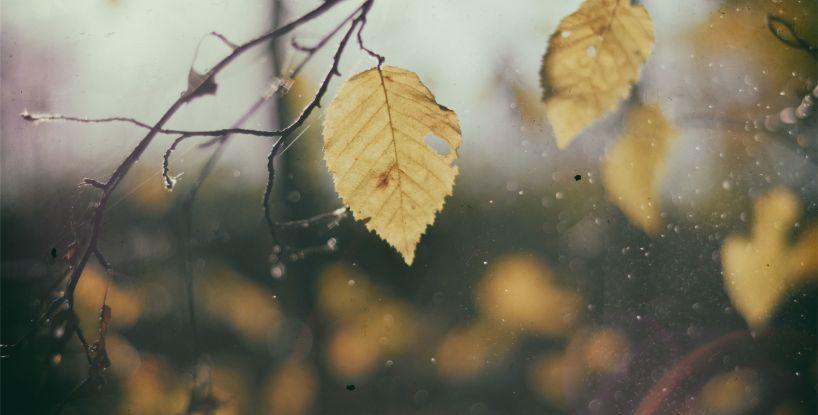 Broken Love