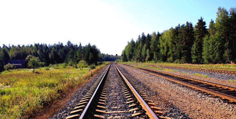 In the Rhythm of a Train