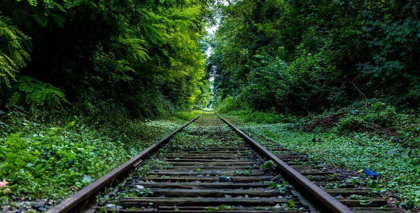 The Journey of Many Thousands of Miles