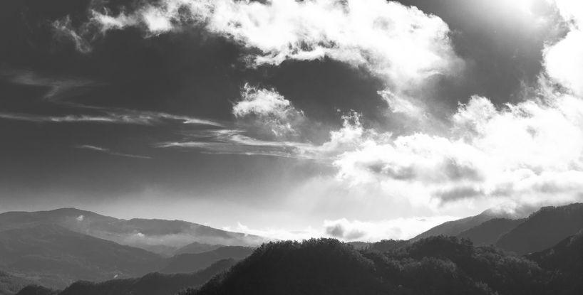 Sowing the Wind