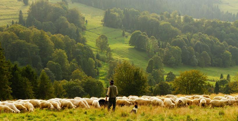 Establishing God’s Kingdom On Earth